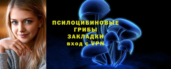 индика Аркадак