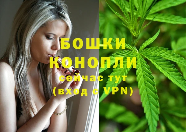 индика Аркадак