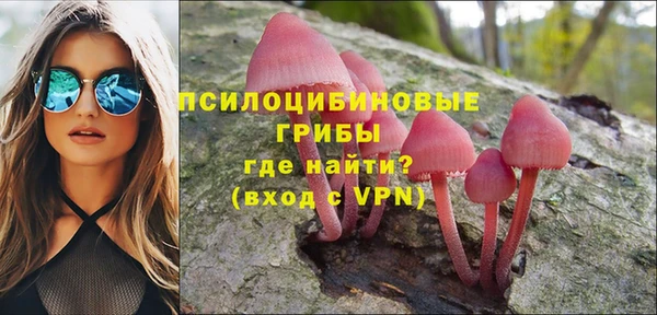 a pvp Арсеньев