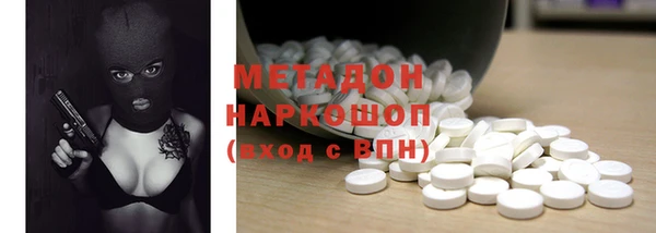 индика Аркадак