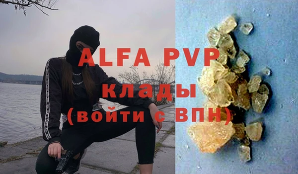 индика Аркадак
