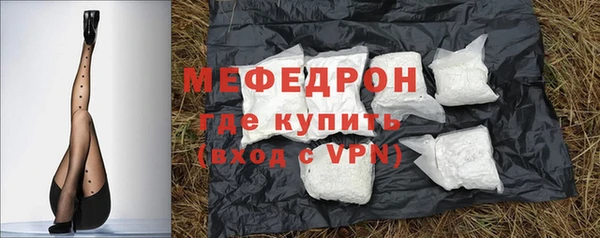 индика Аркадак