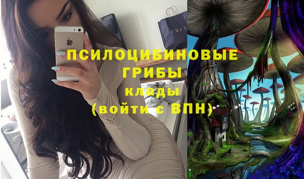 a pvp Арсеньев