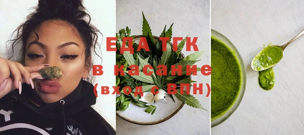 индика Аркадак