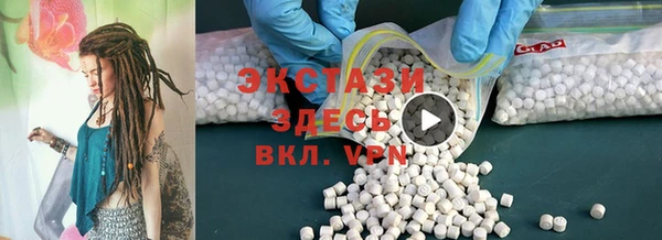 индика Аркадак