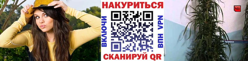 Каннабис SATIVA & INDICA  Павлово 